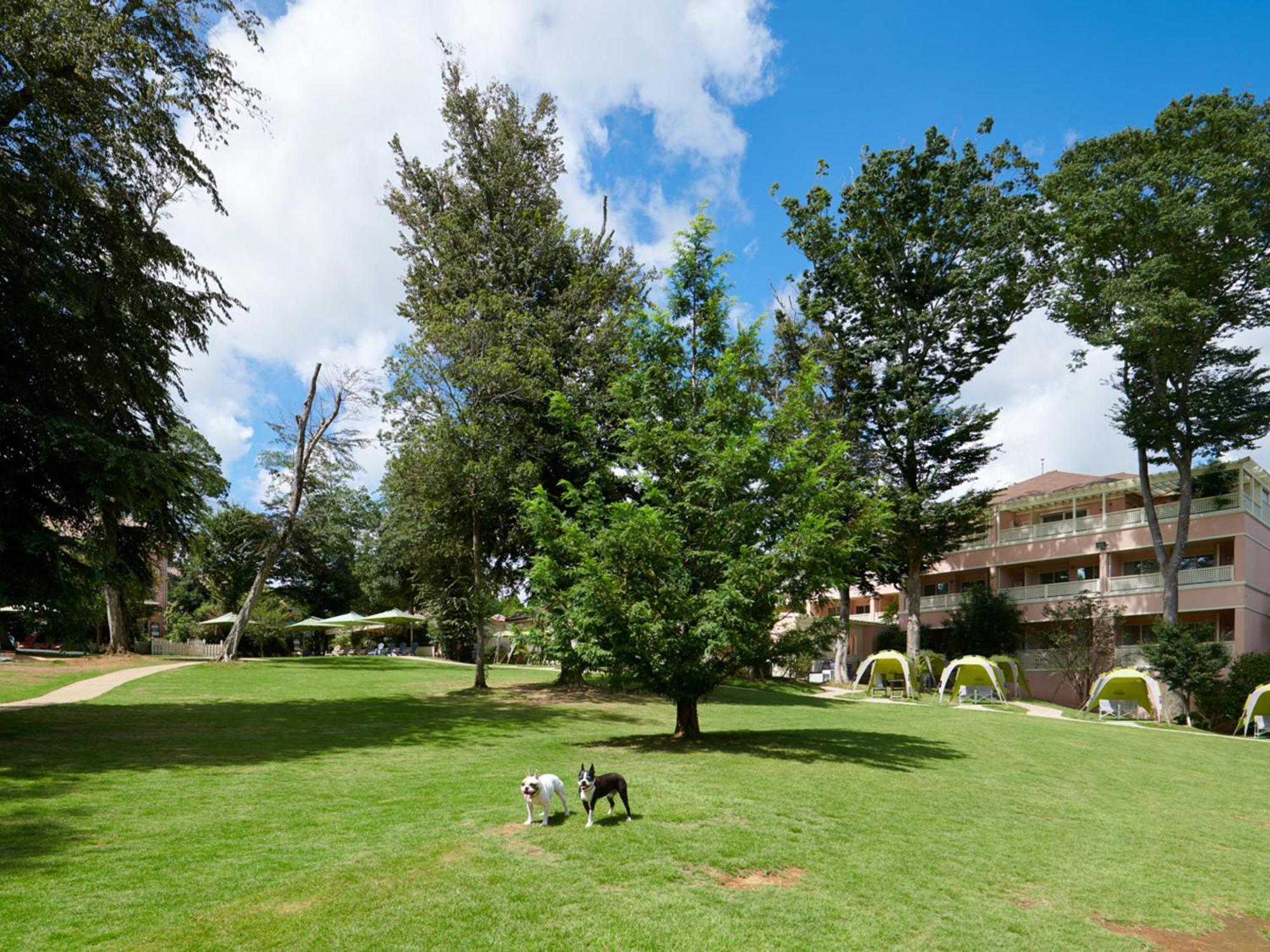 Koyaru-No-Sato Doggys Island Hotel Yachimata Buitenkant foto
