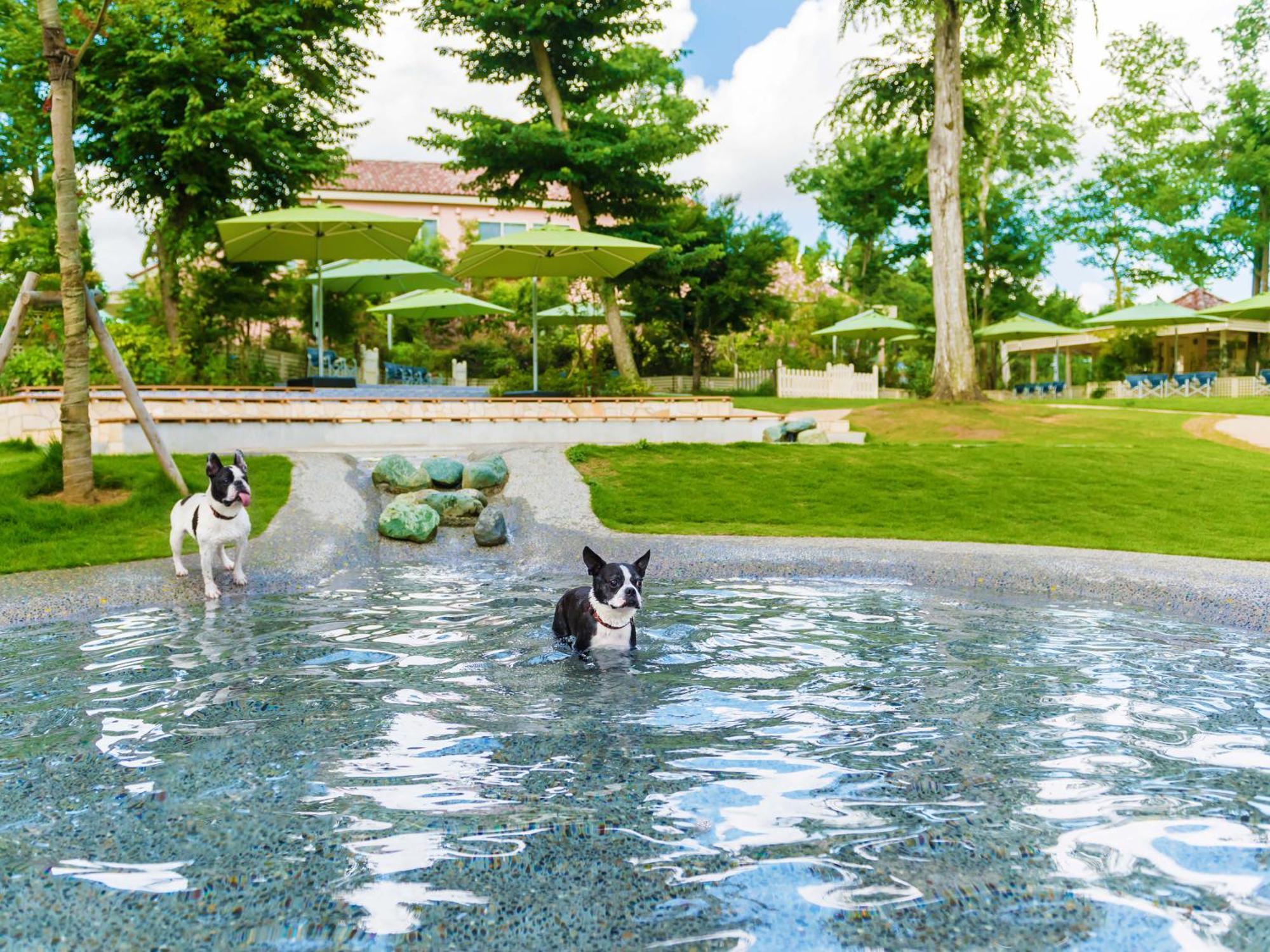 Koyaru-No-Sato Doggys Island Hotel Yachimata Buitenkant foto